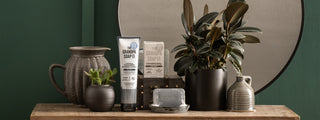 A wooden table displays Grandpa Soap Co. skincare products, a charcoal bar soap, a tube, two potted plants, a gray ceramic pitcher, and a jug, all set against a green wall and round mirror.